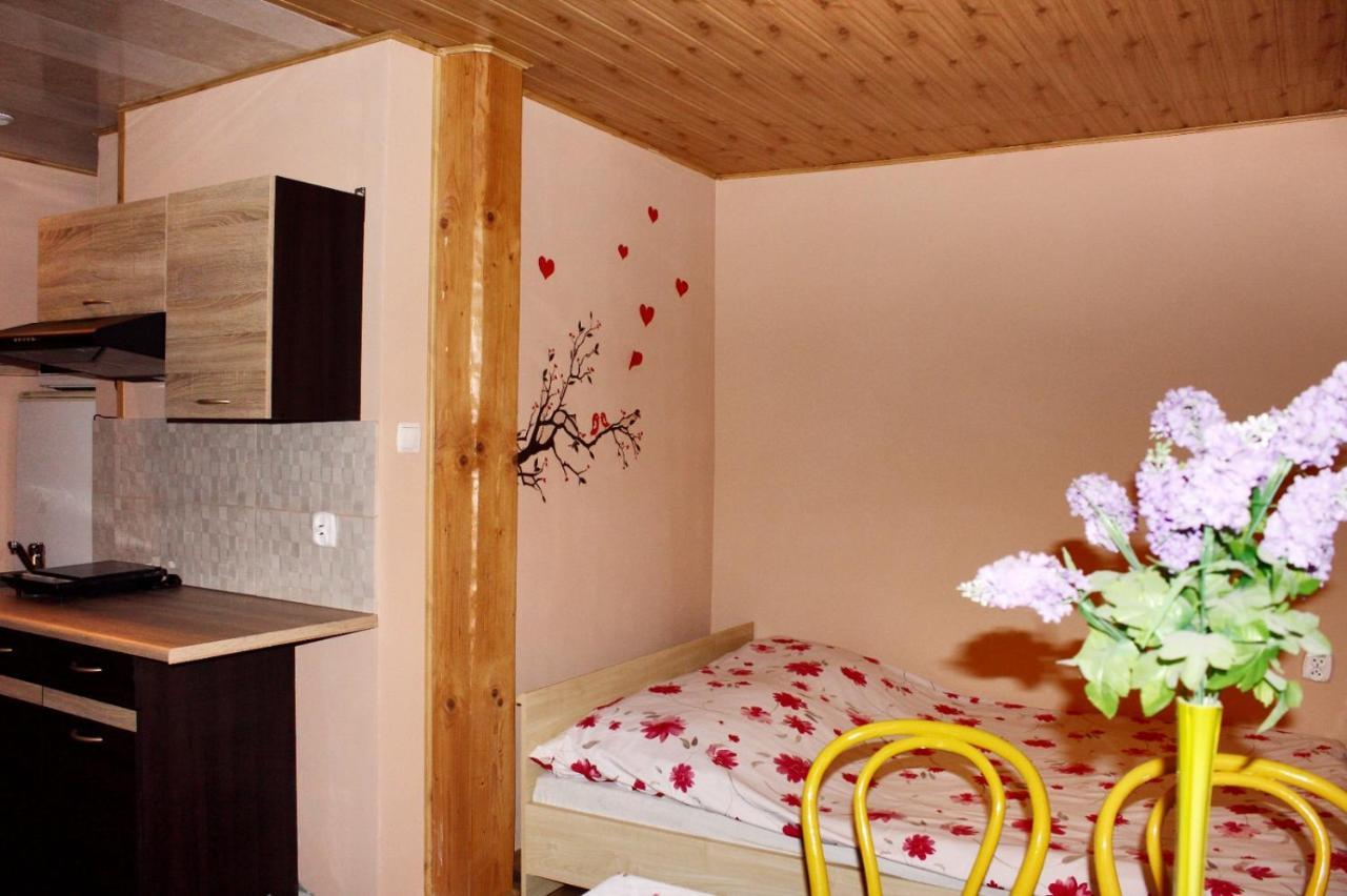 Pati Apartament Slonko Wisła Exterior foto